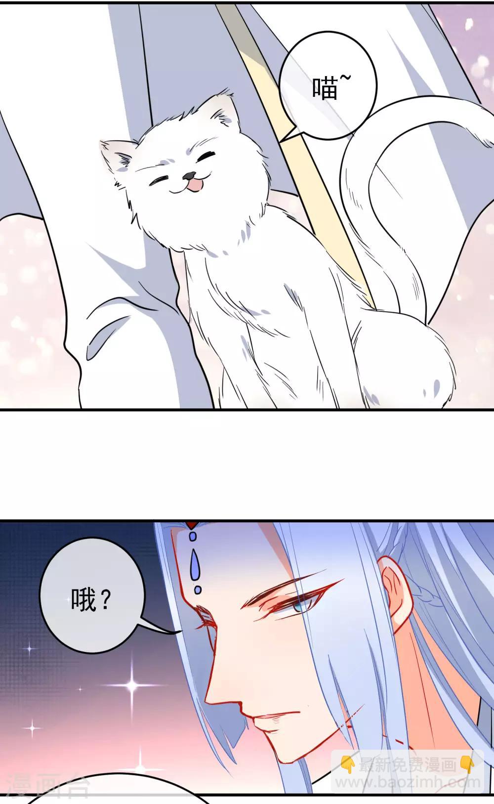 第144话 猫的主人8