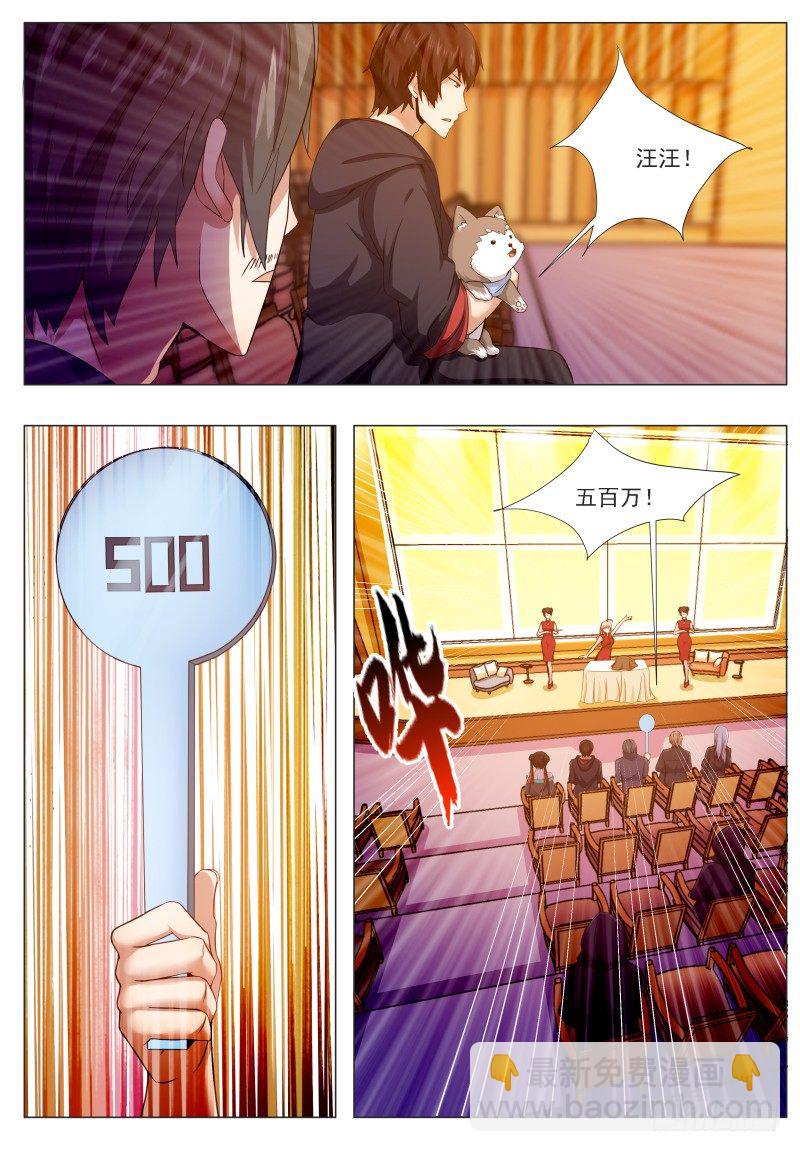 第44话 拍卖会就是买买买!5