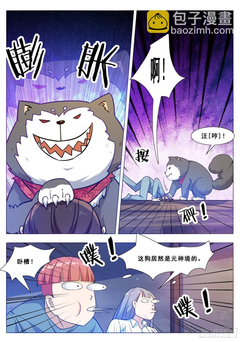 第115话 元神境的小哈6