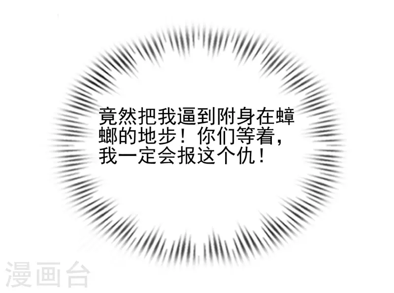 第210话 女人之间的互爱？？？44