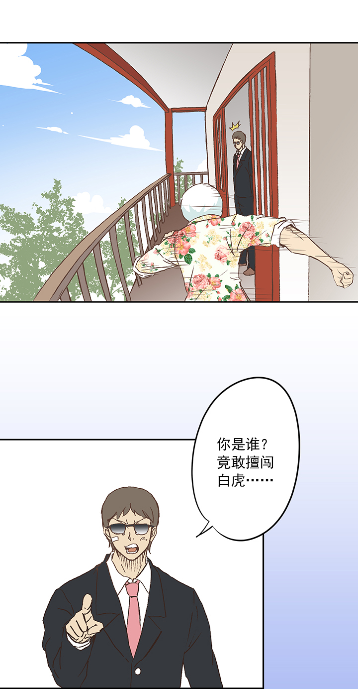 第十九波  重返绿茵场6