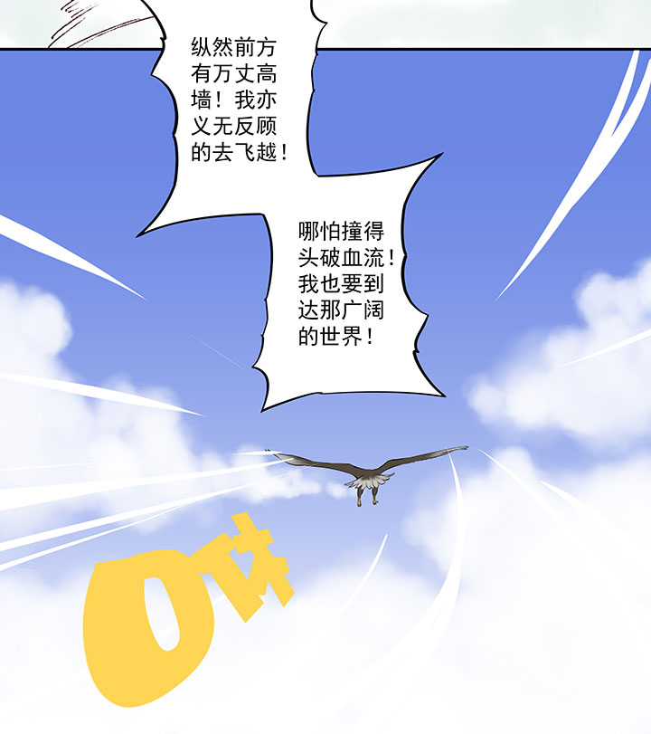 第四十四波 王牌VS王牌38