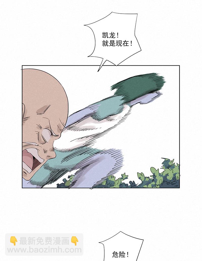 第三百二十六波 求偶27