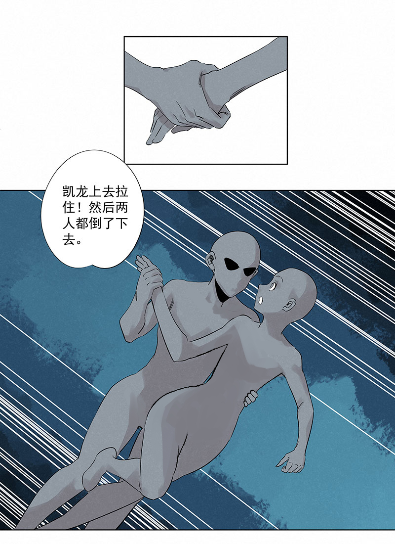 第三百二十七波 求偶（二）11