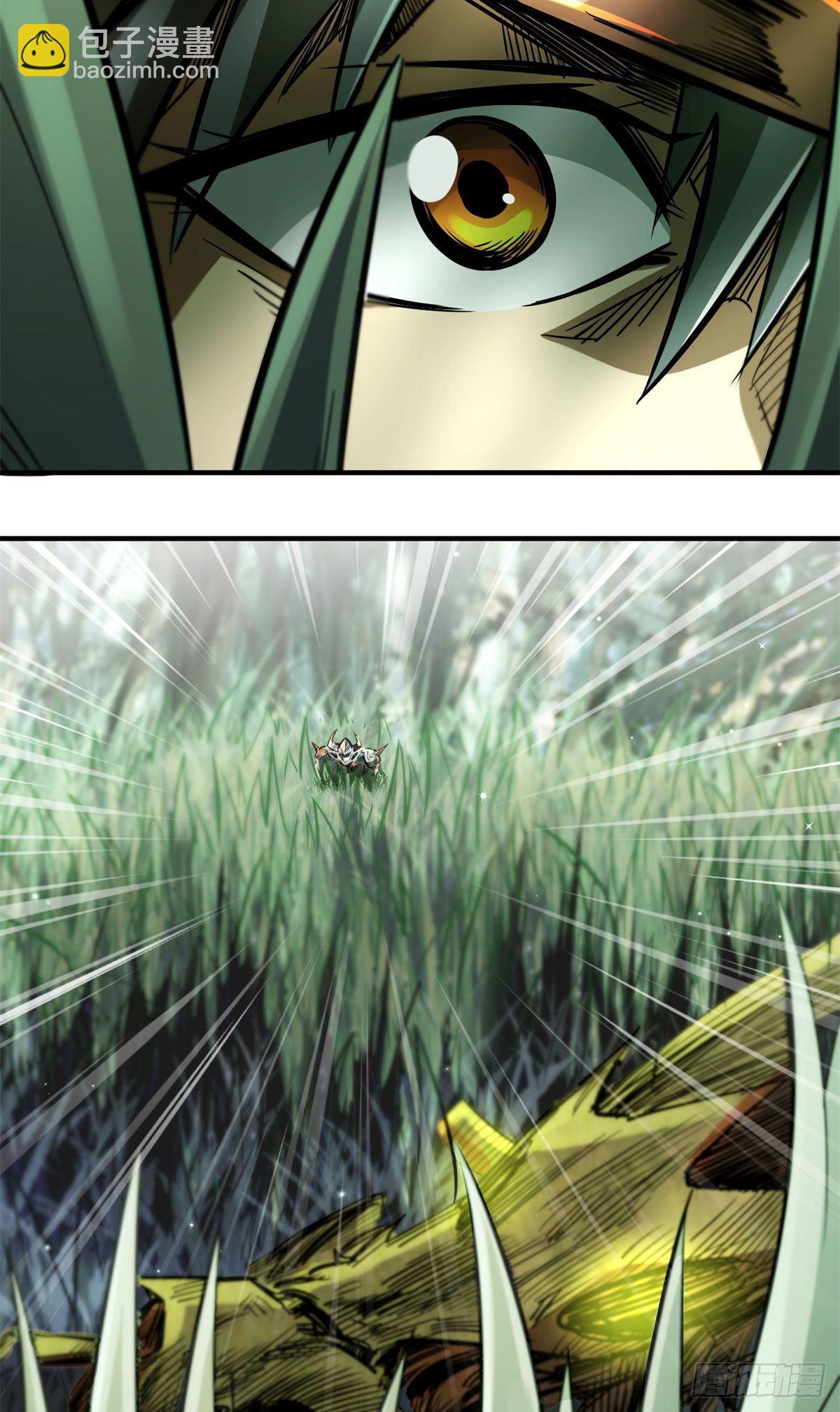 03 币哥5
