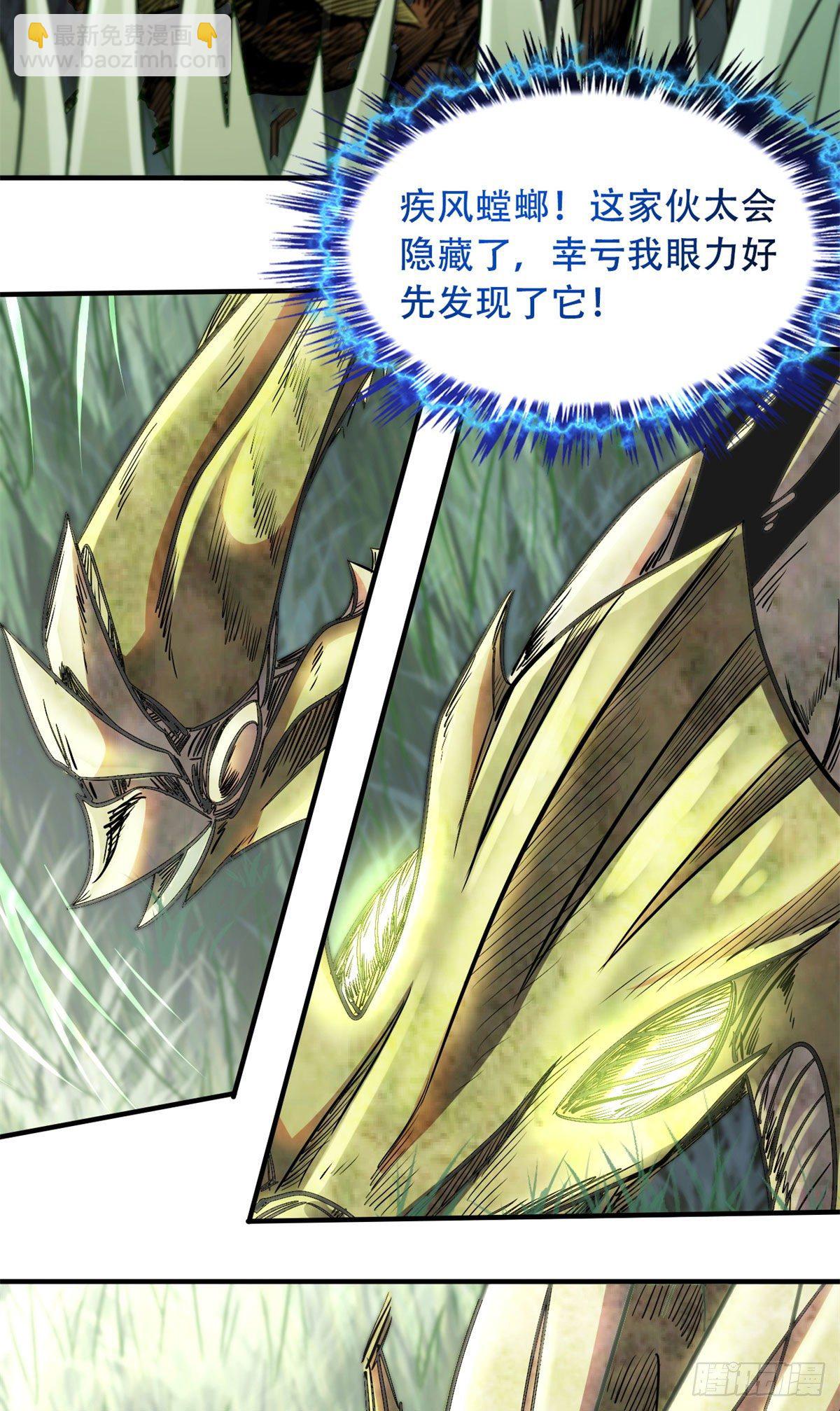 03 币哥6