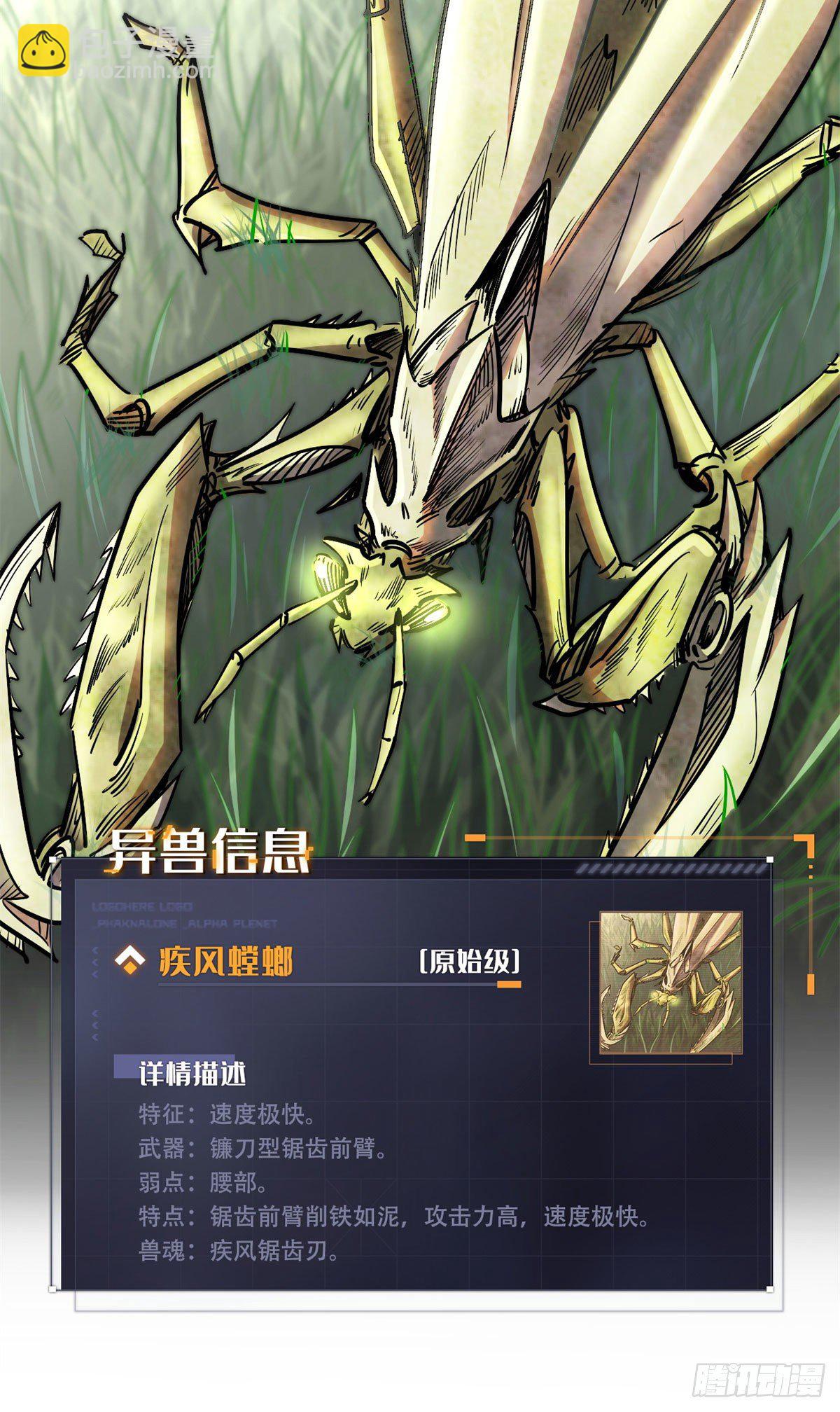 03 币哥7