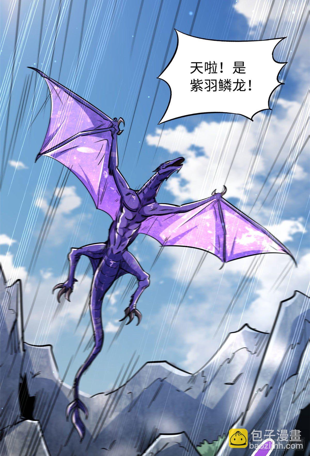 23 紫羽鳞龙23