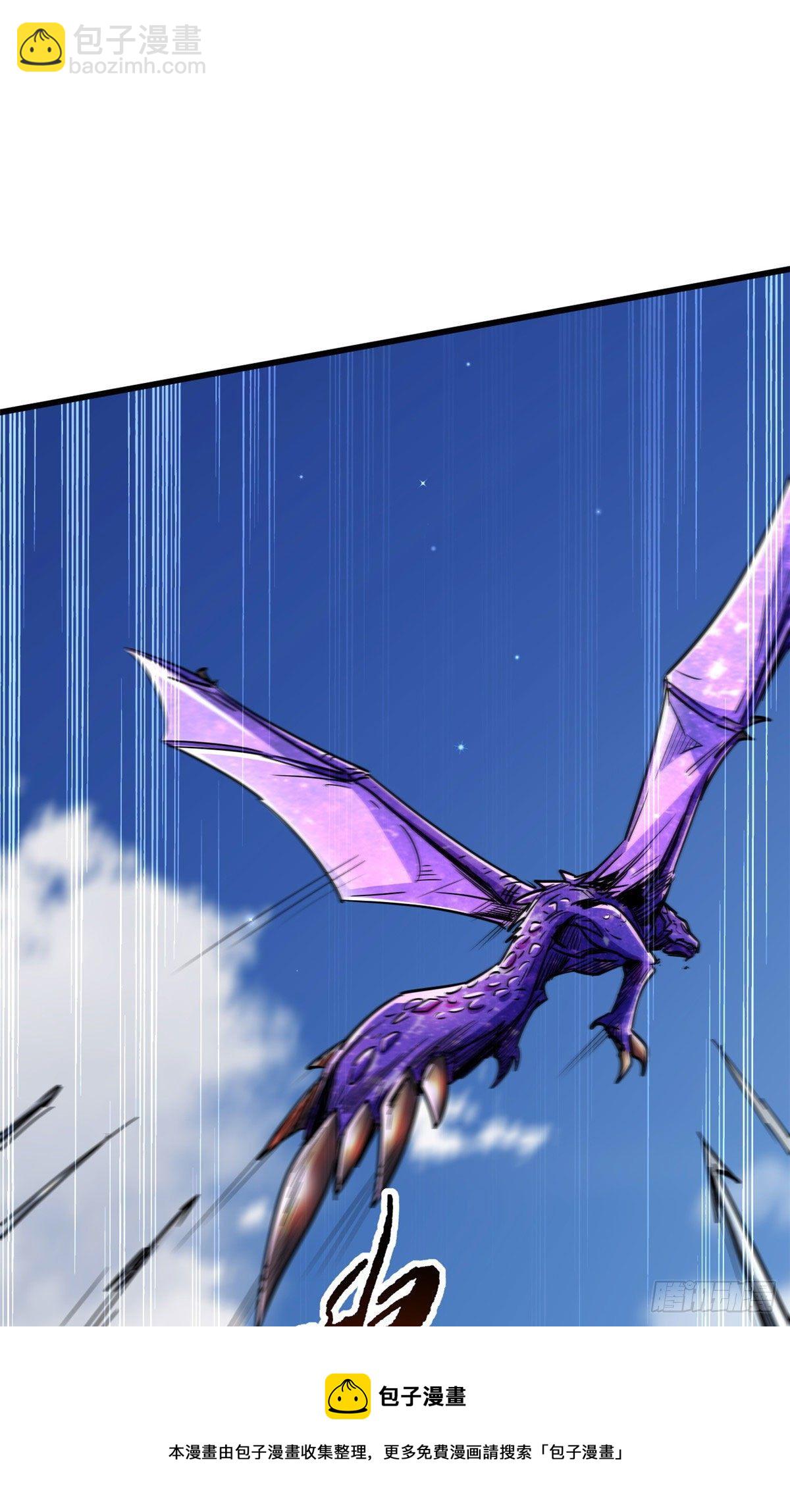 23 紫羽鳞龙28