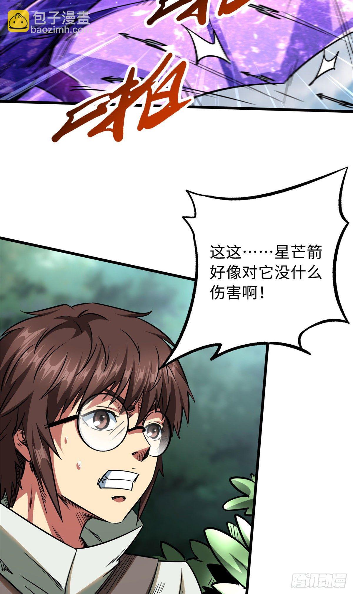 23 紫羽鳞龙31