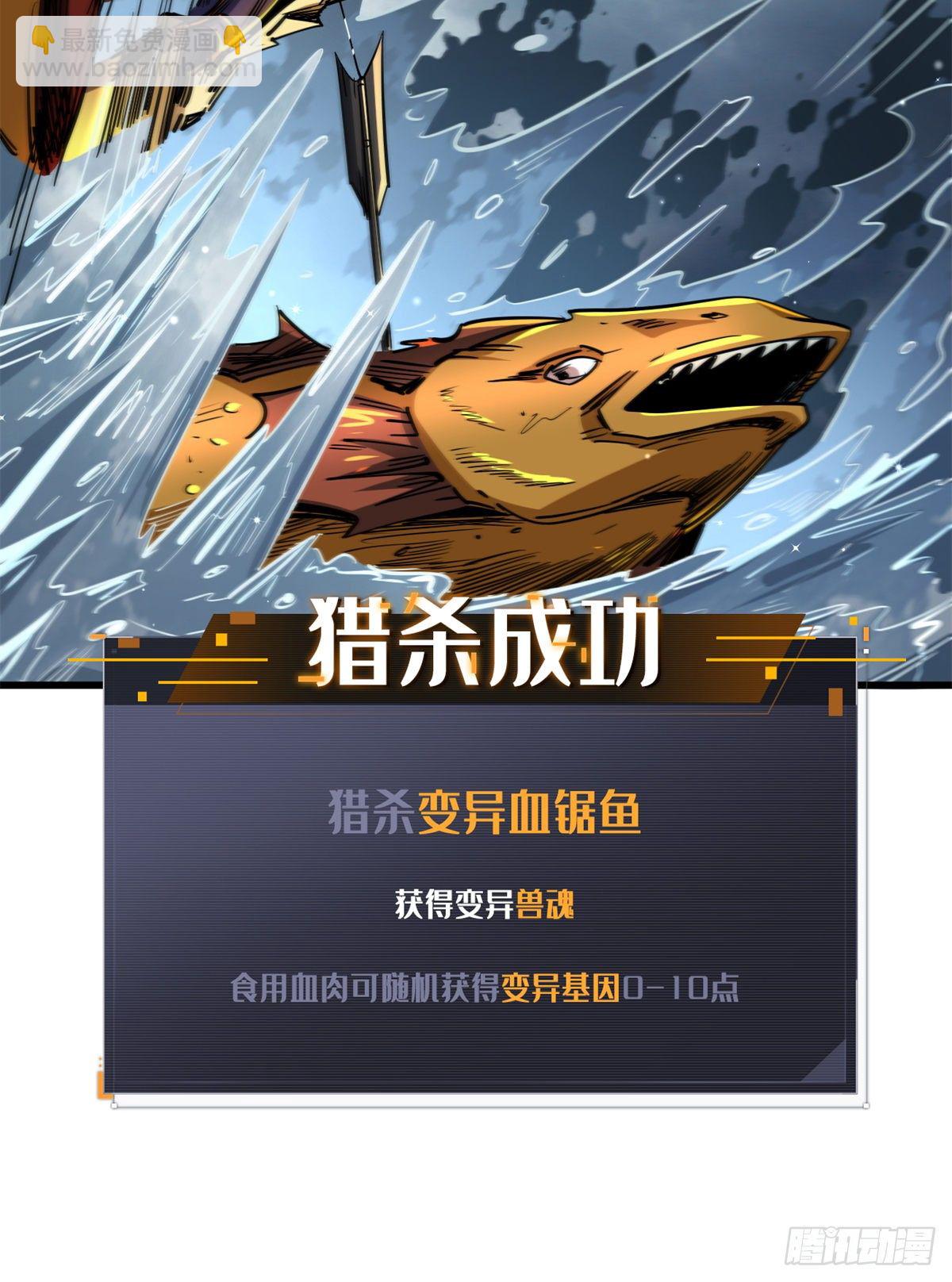 31 梦幻乐园27