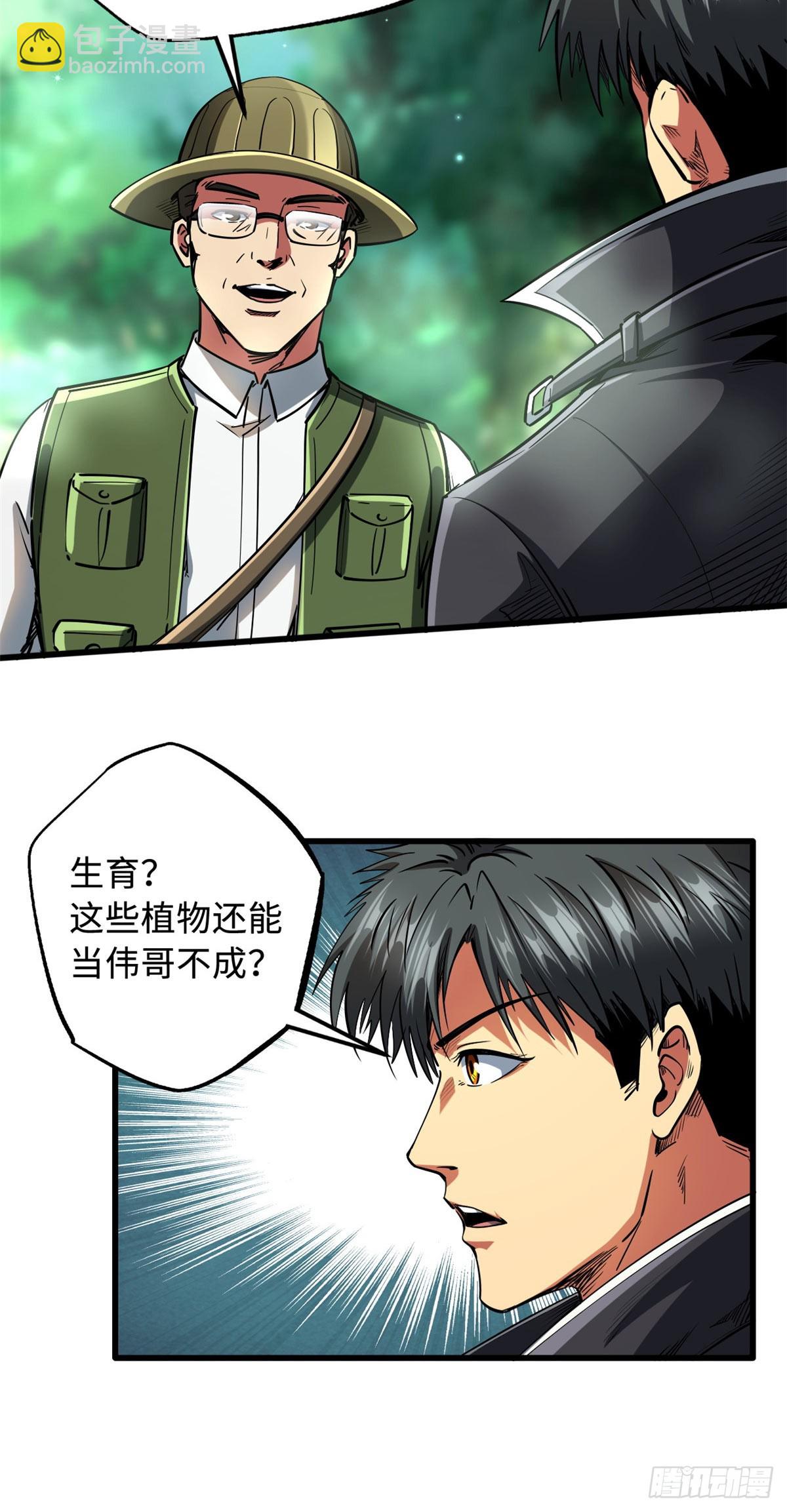 116 植物的秘密18