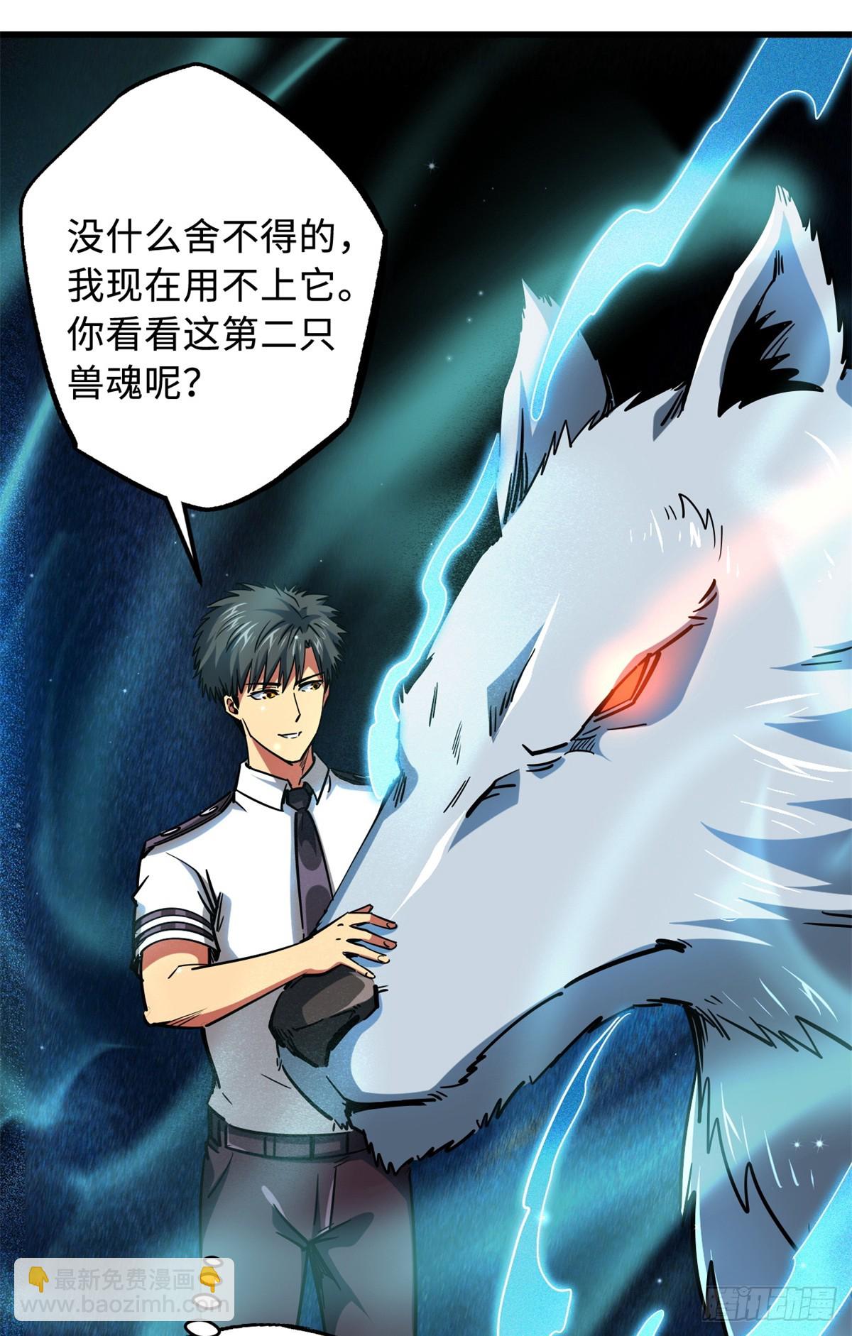 119 第二庇护所神血兽魂！26