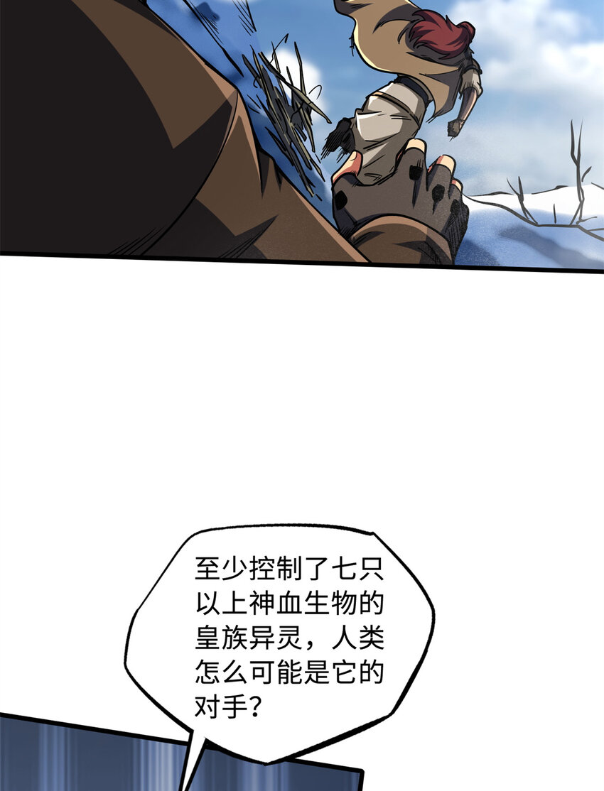 154 星轮庇护所28