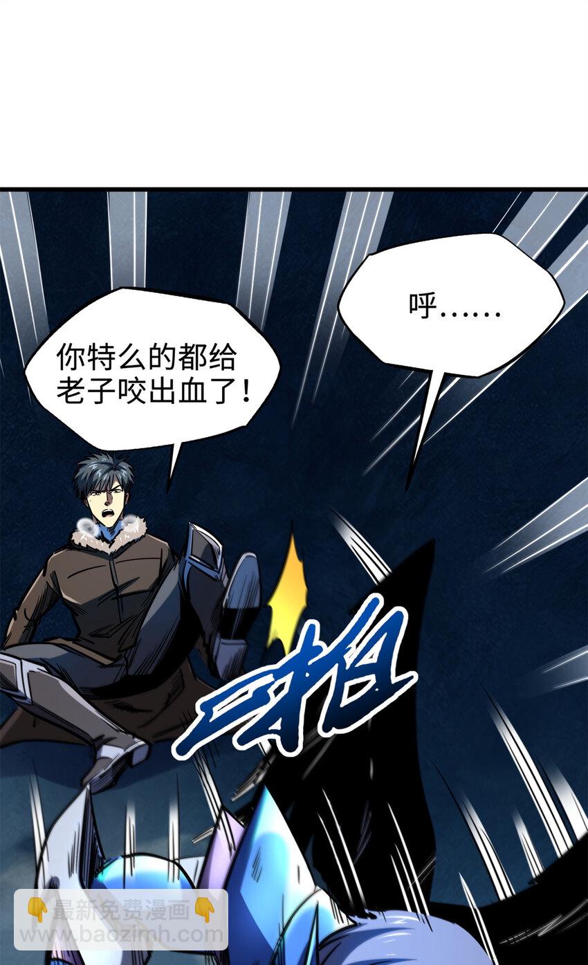 186 卵生狐狸27