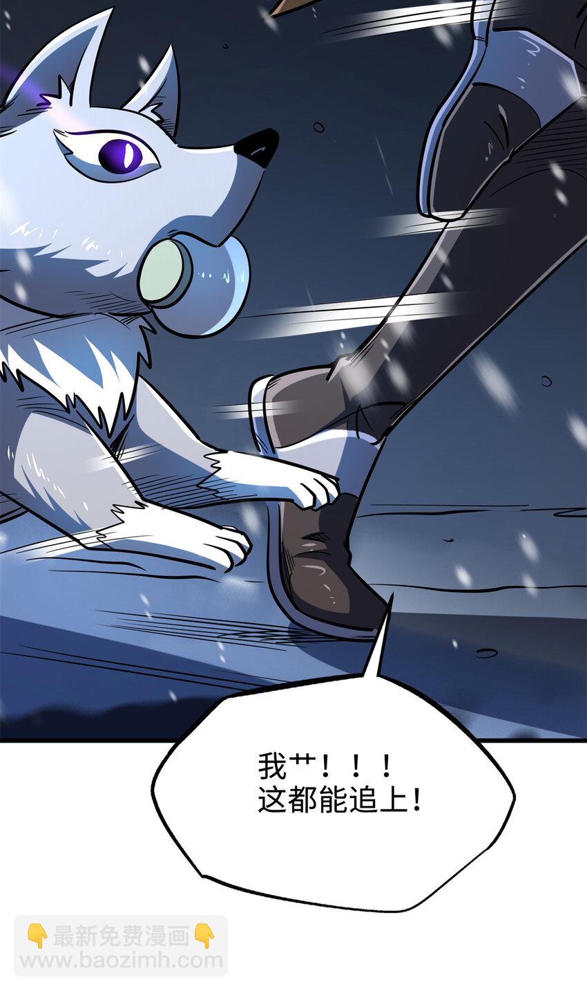186 卵生狐狸44