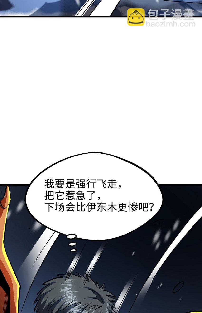 186 卵生狐狸47