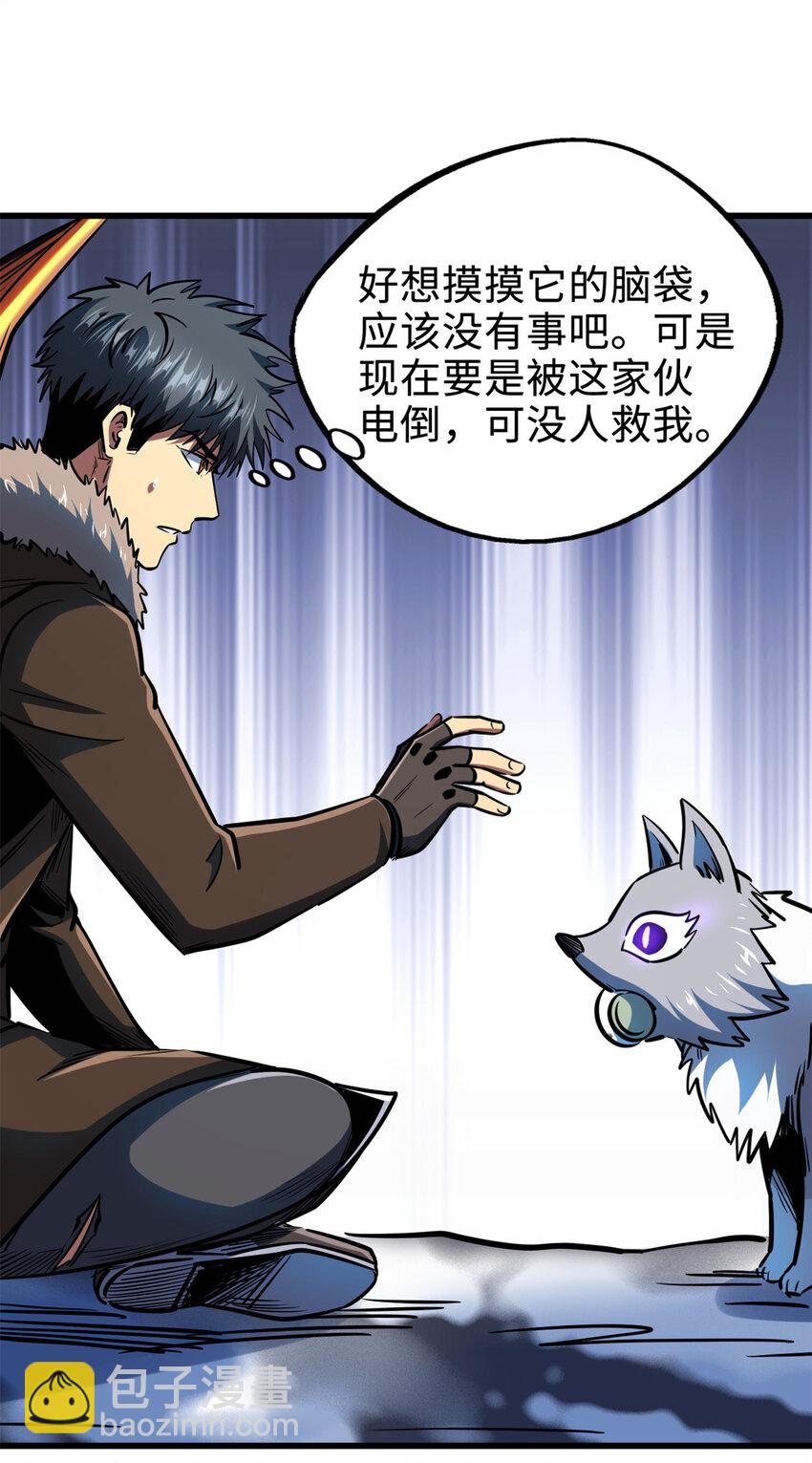 186 卵生狐狸55