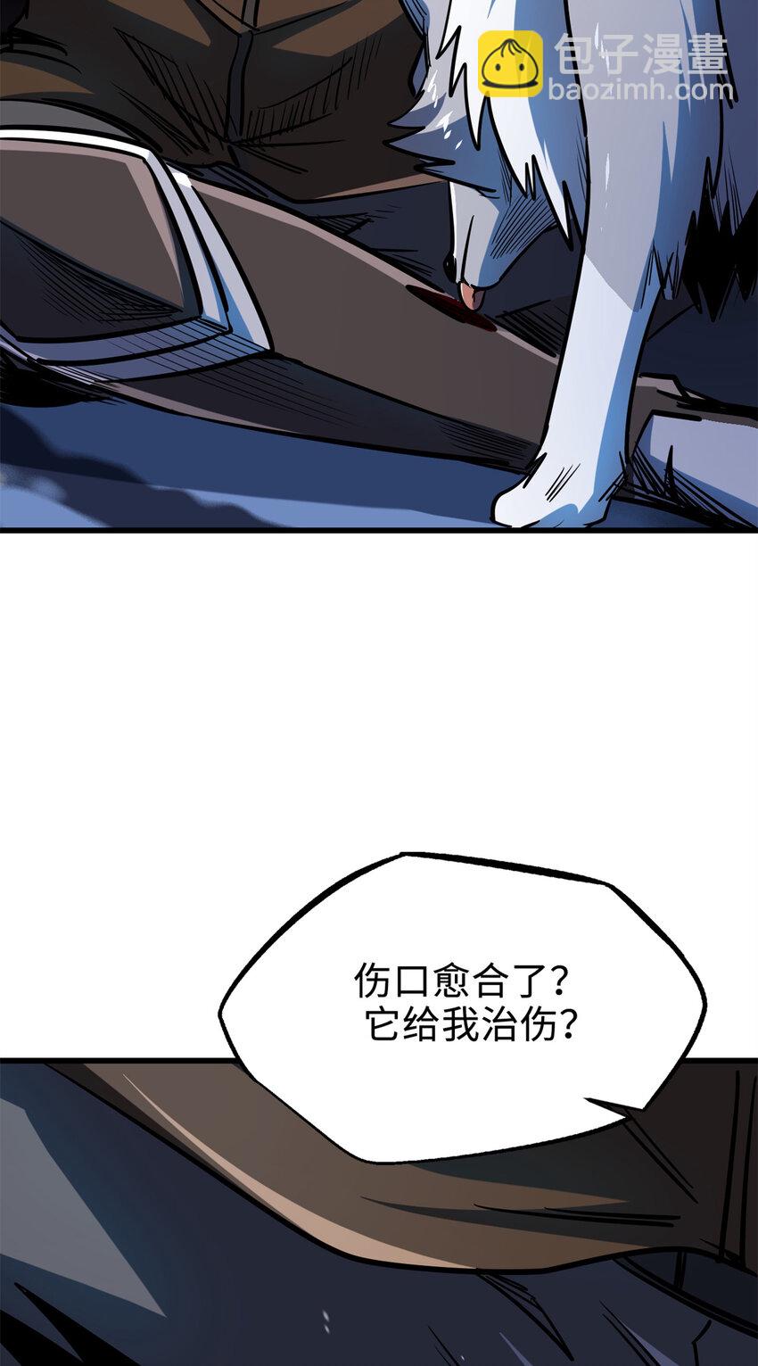 186 卵生狐狸57