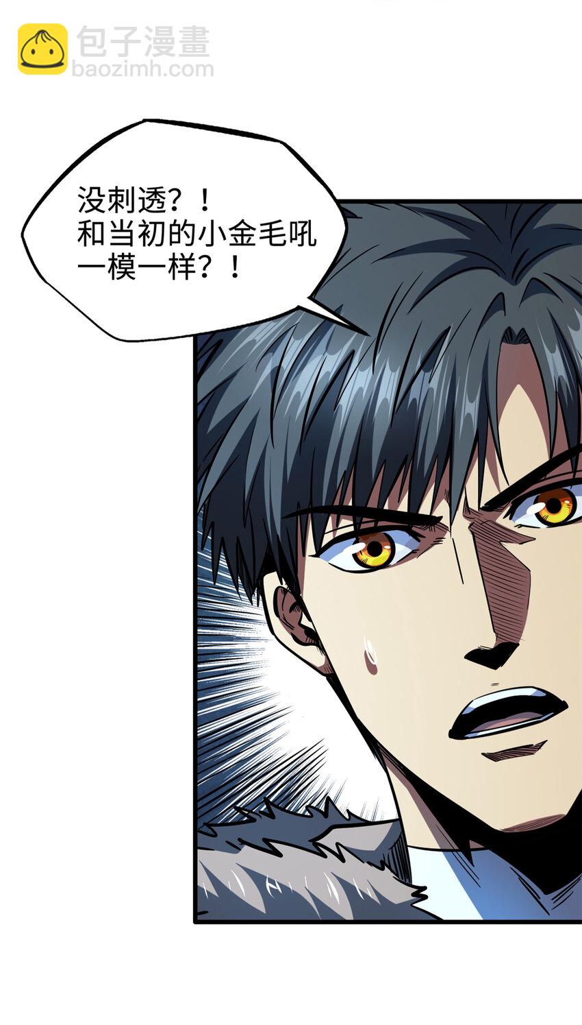 186 卵生狐狸8
