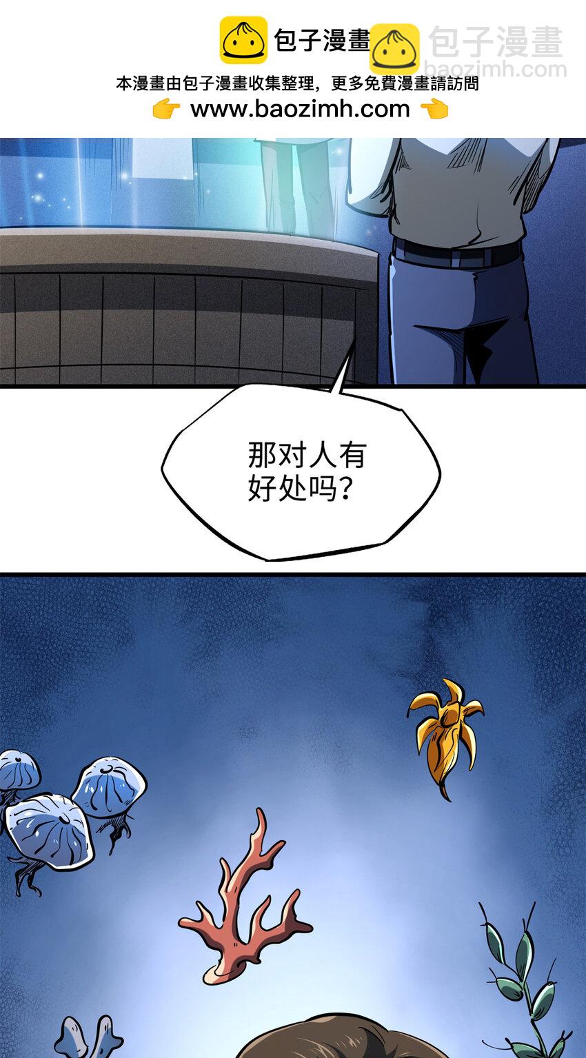 198 红色香菇24