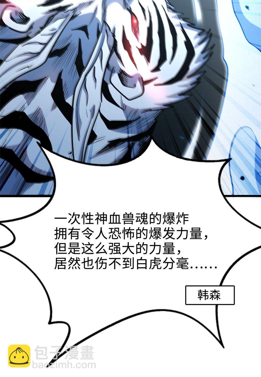 205 白虎御风41