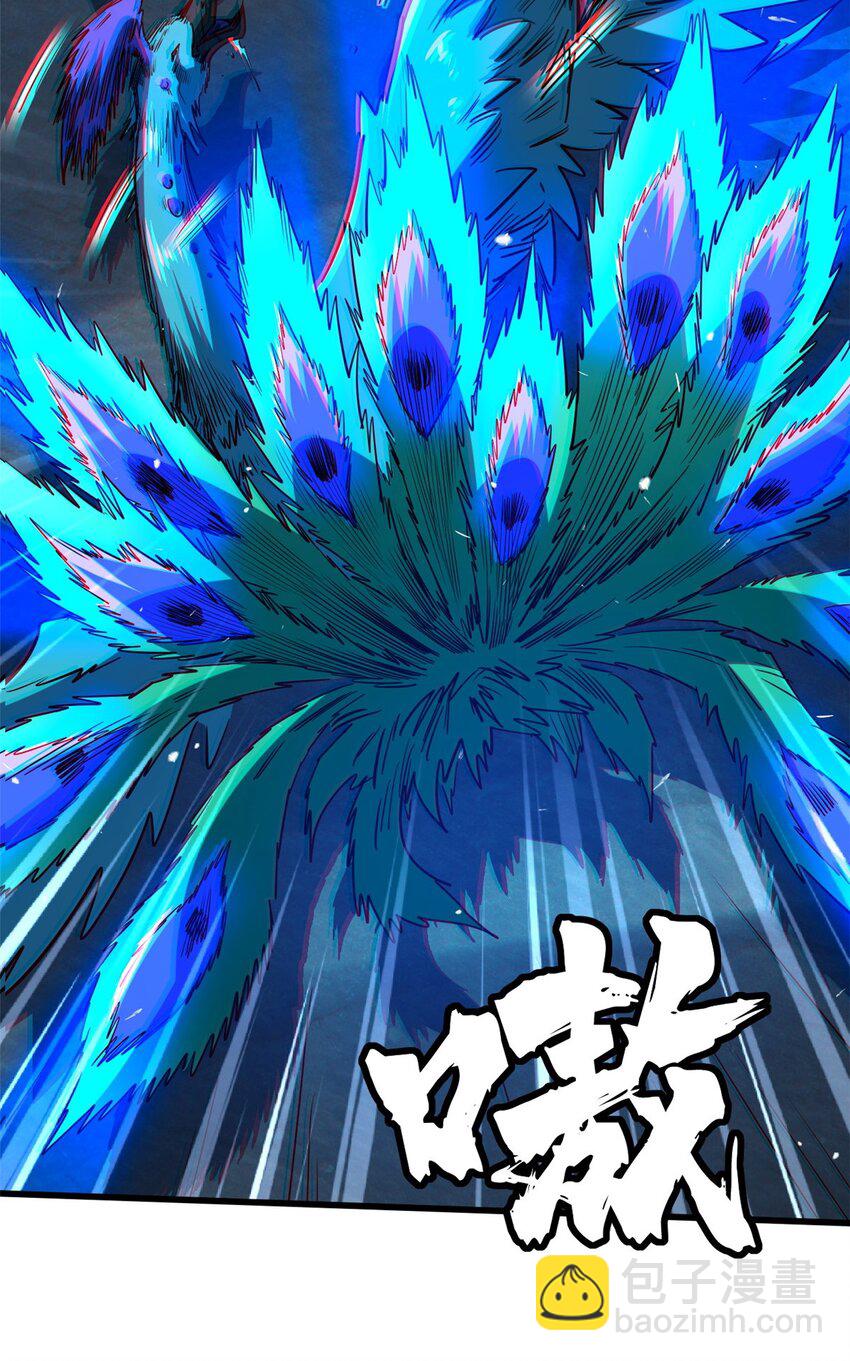 211 不期而遇的珍宝33