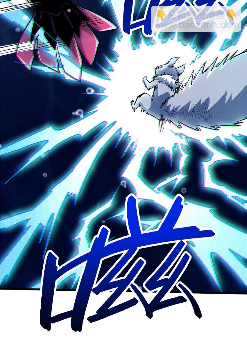 212 刺杀孔雀27