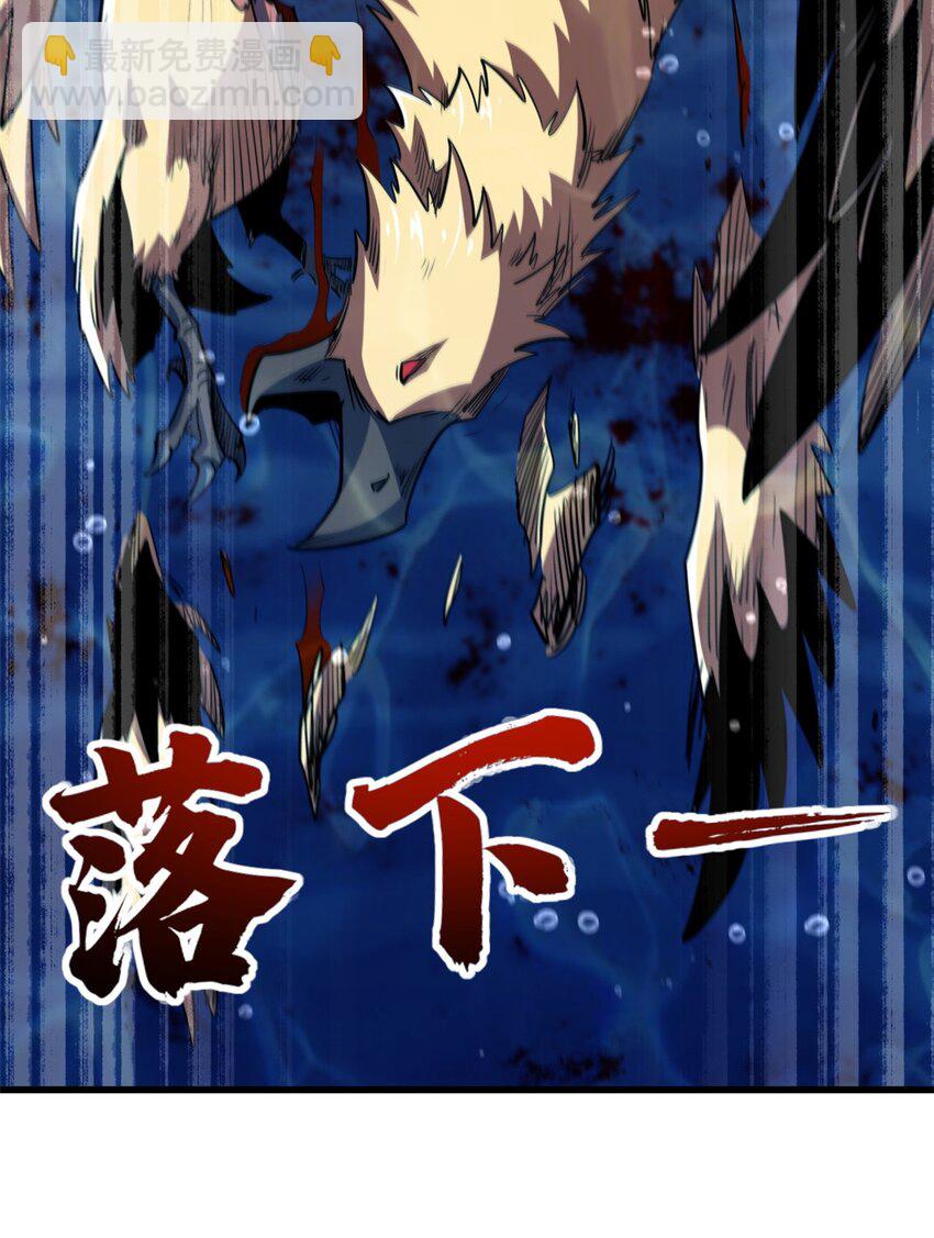 212 刺杀孔雀56