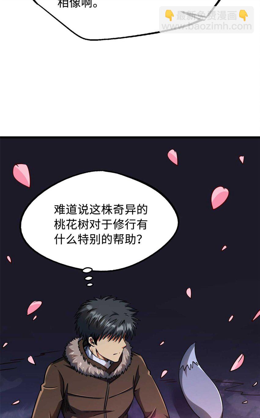 230 桃花圣树28
