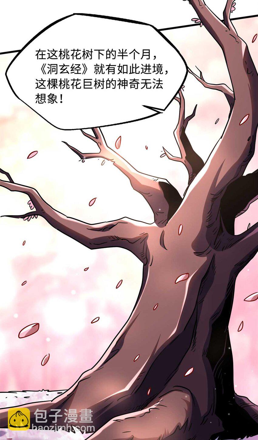 230 桃花圣树40