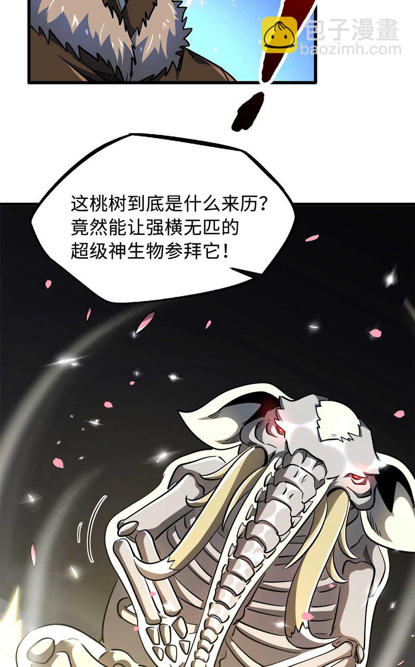 230 桃花圣树5