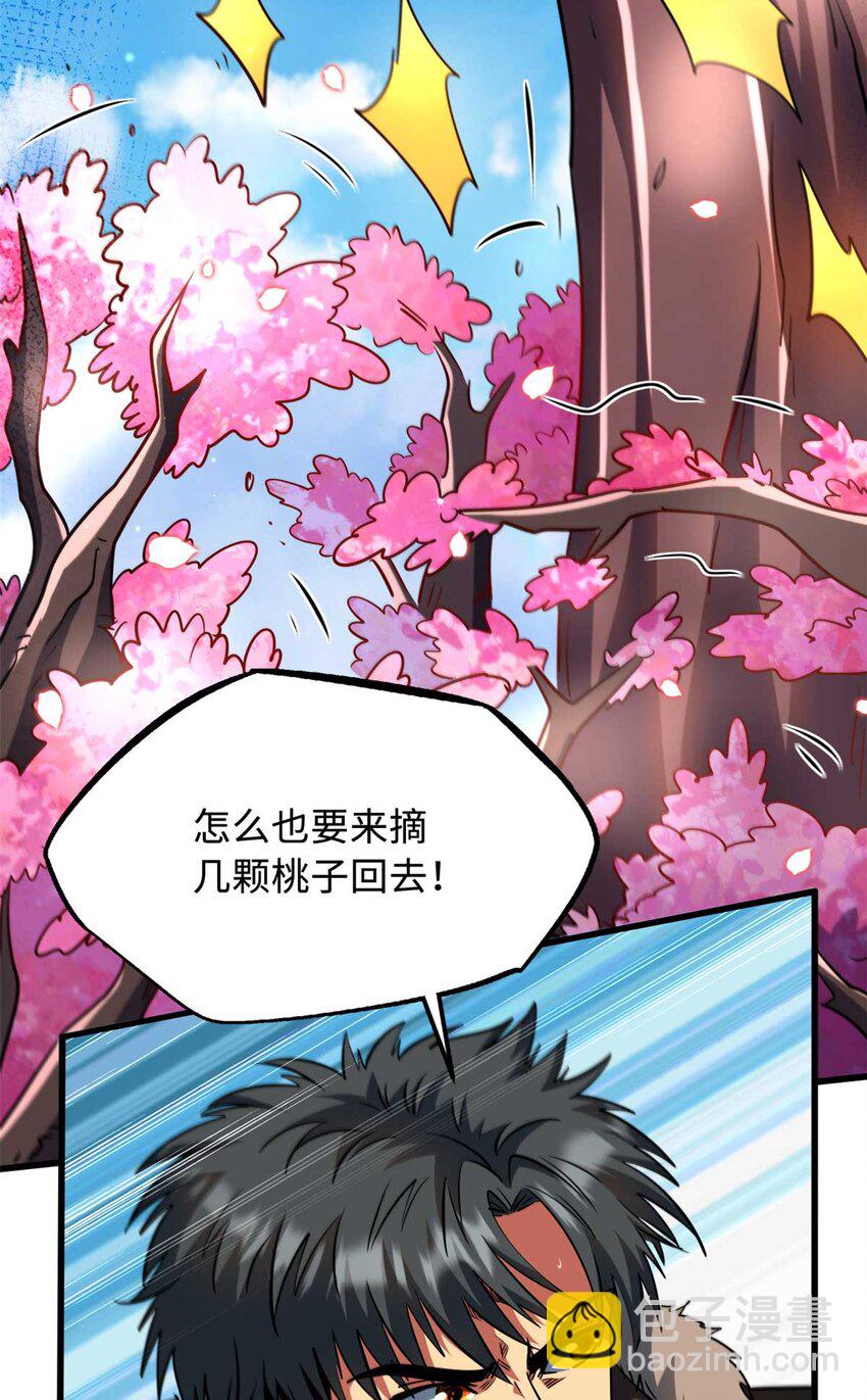 230 桃花圣树54