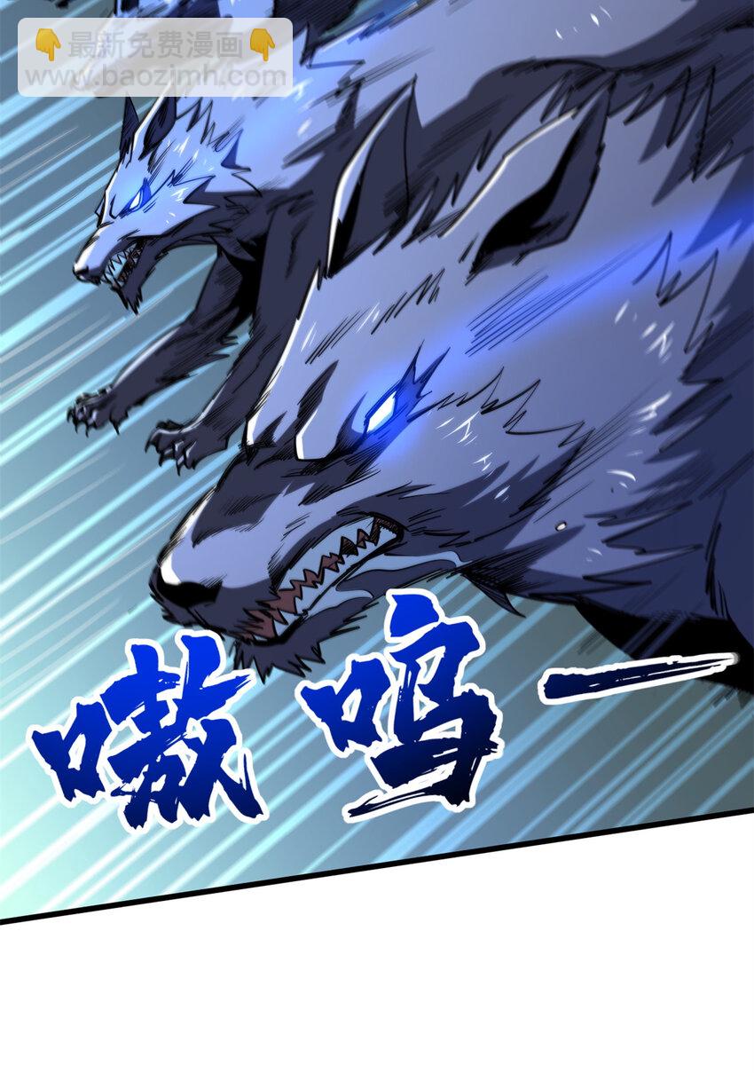 231 狼王36