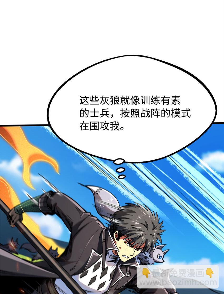 231 狼王44