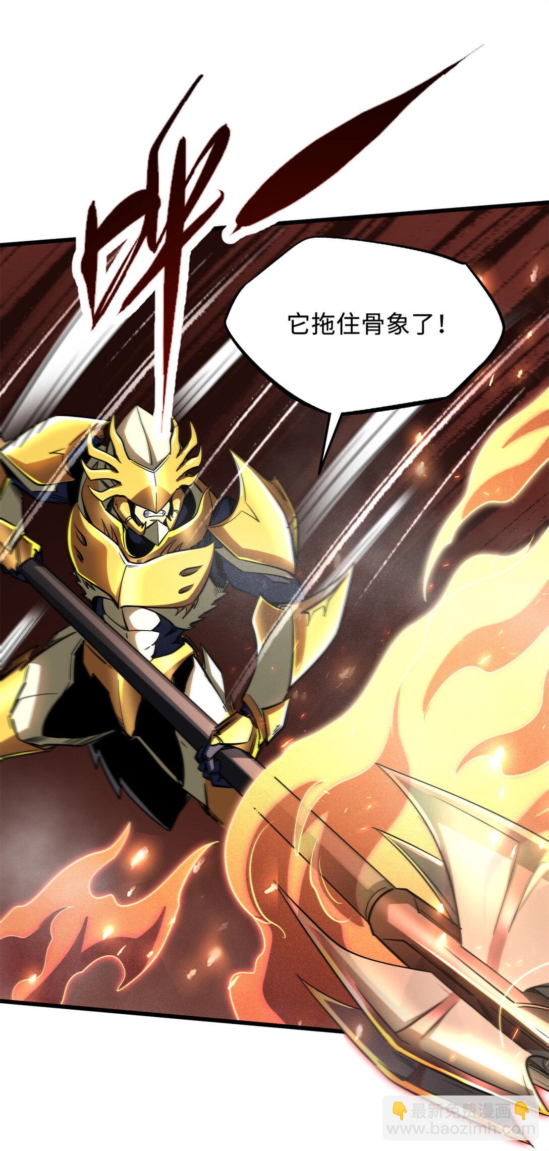 240 骨象之围14