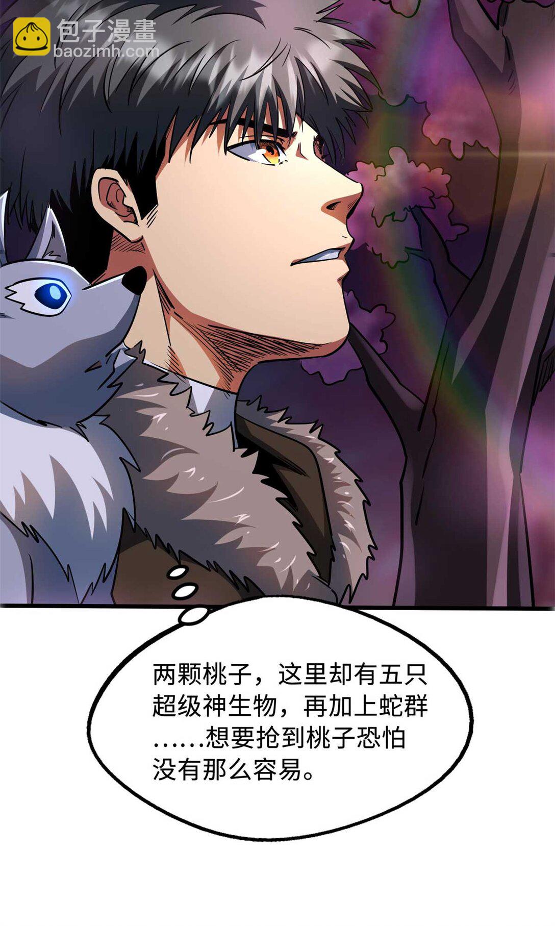 244 桃树仙果45