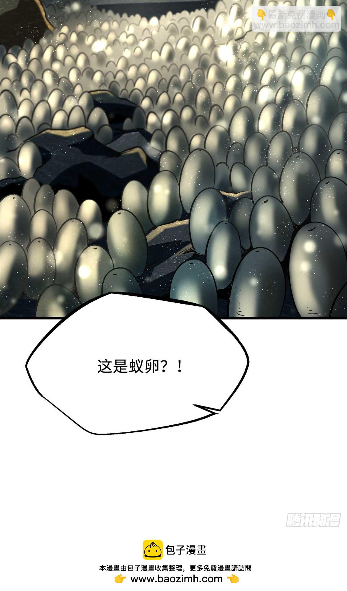 250 蚁巢49