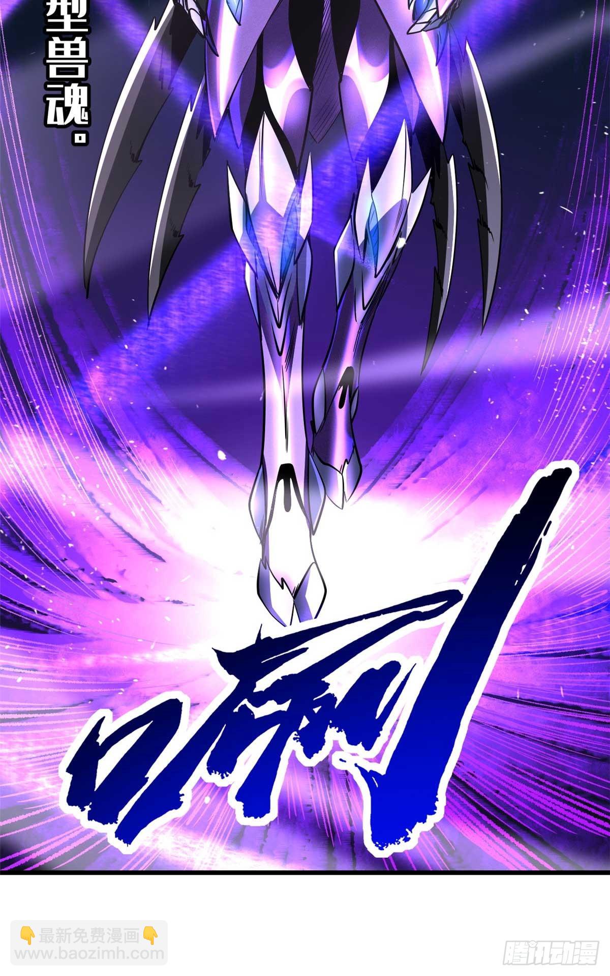 252 大轮宝象拳28