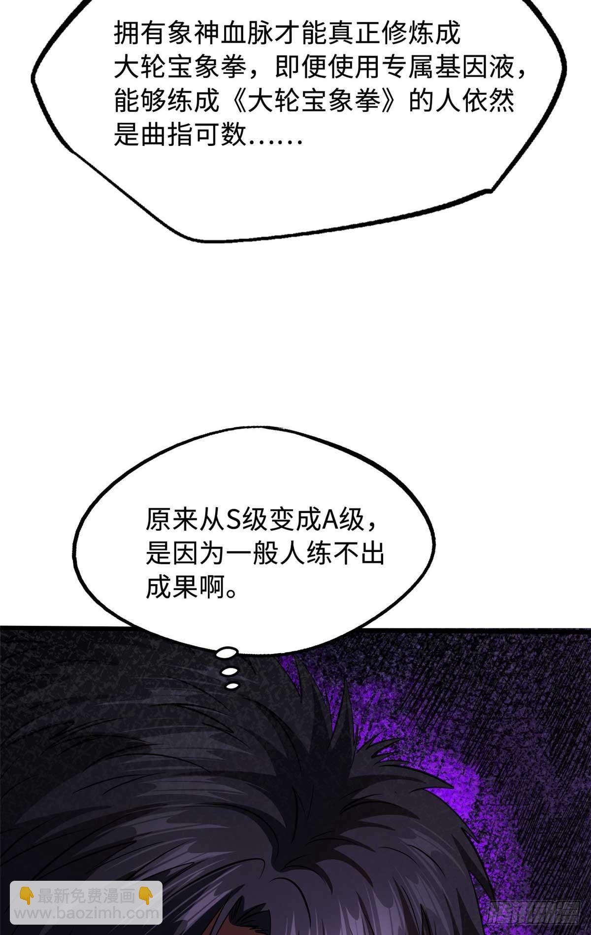252 大轮宝象拳48