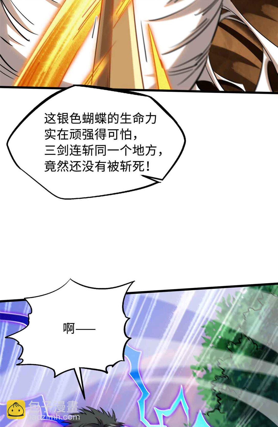296 银翅仙蝶14