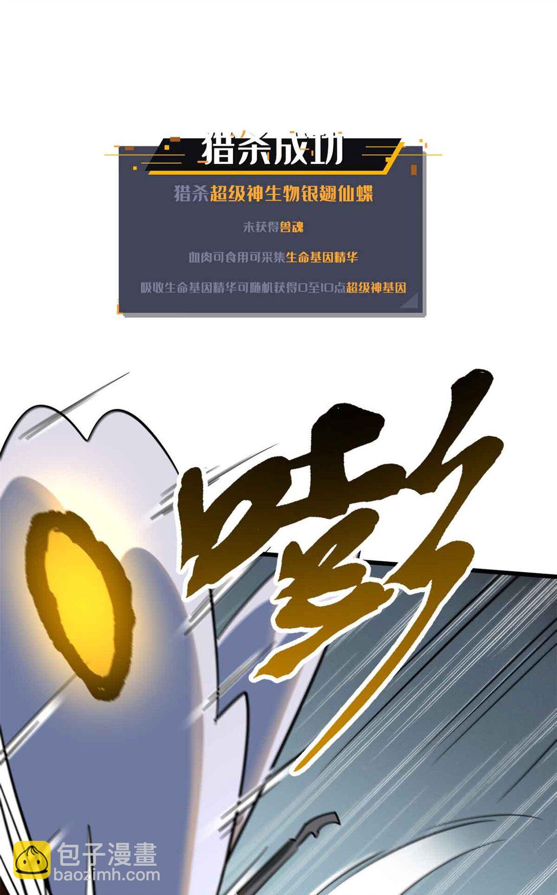 296 银翅仙蝶29