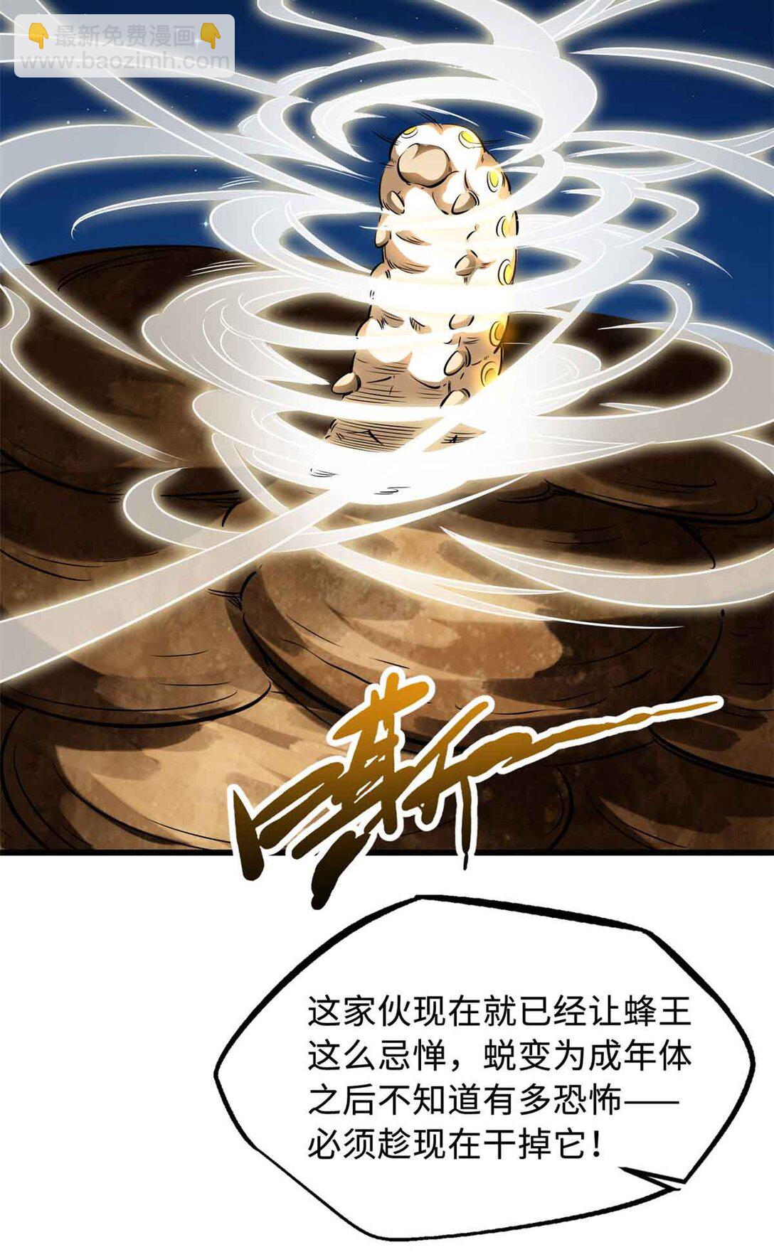 296 银翅仙蝶3