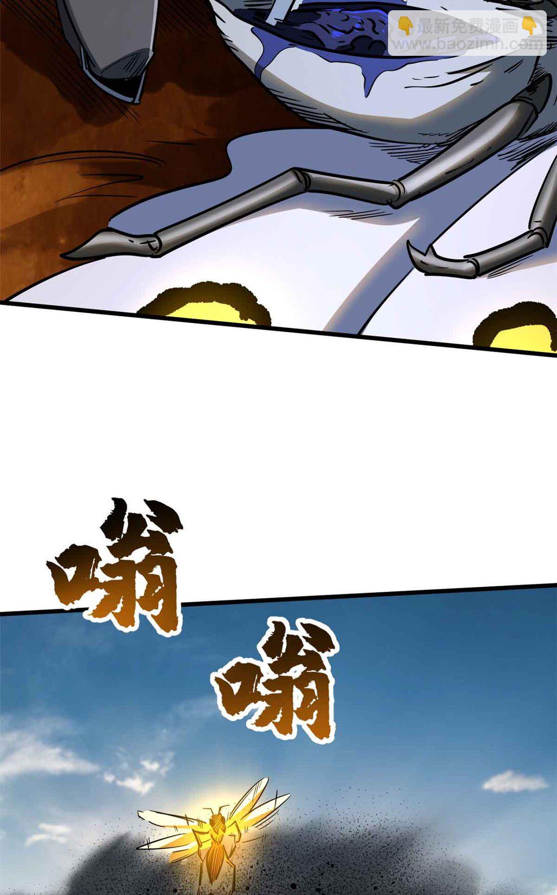 296 银翅仙蝶32