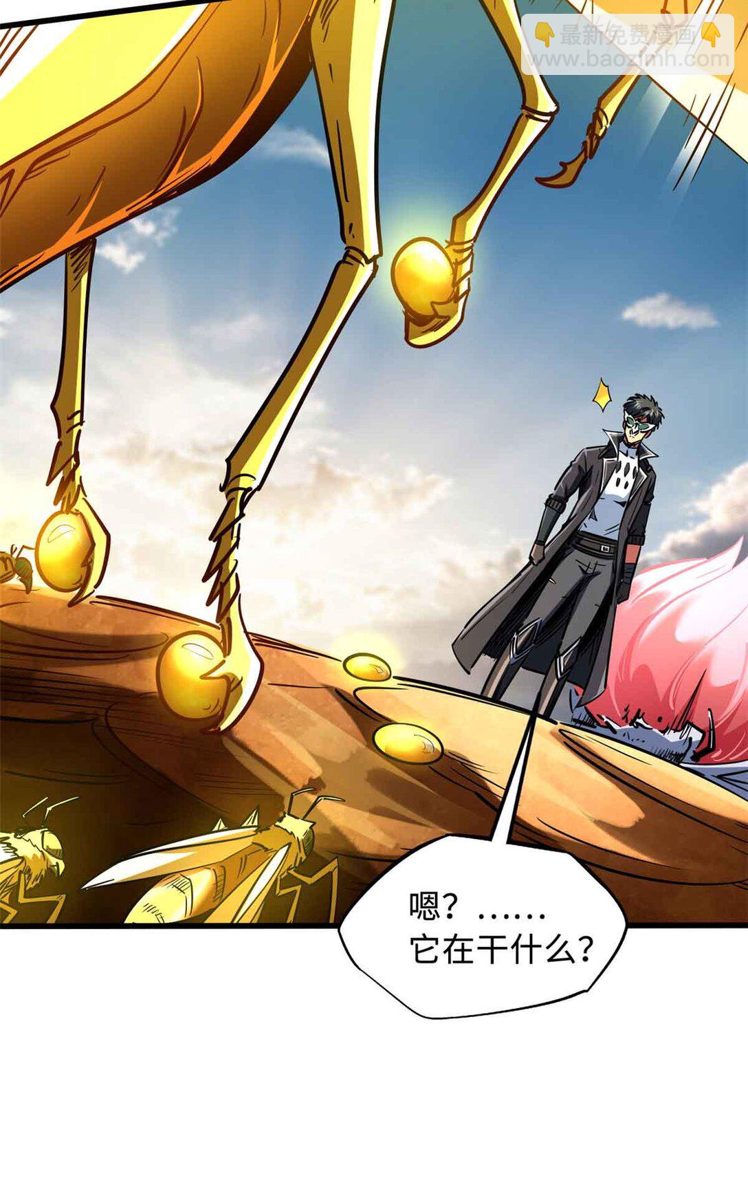 296 银翅仙蝶37