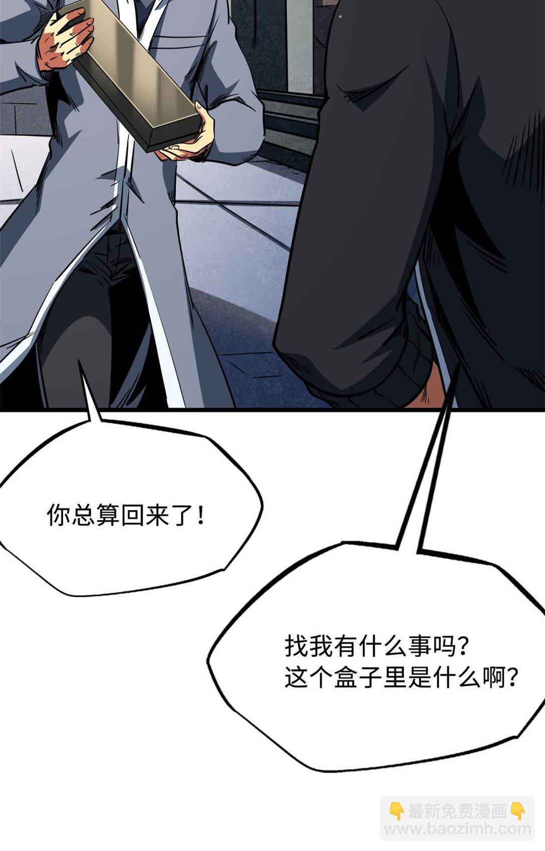 296 银翅仙蝶50