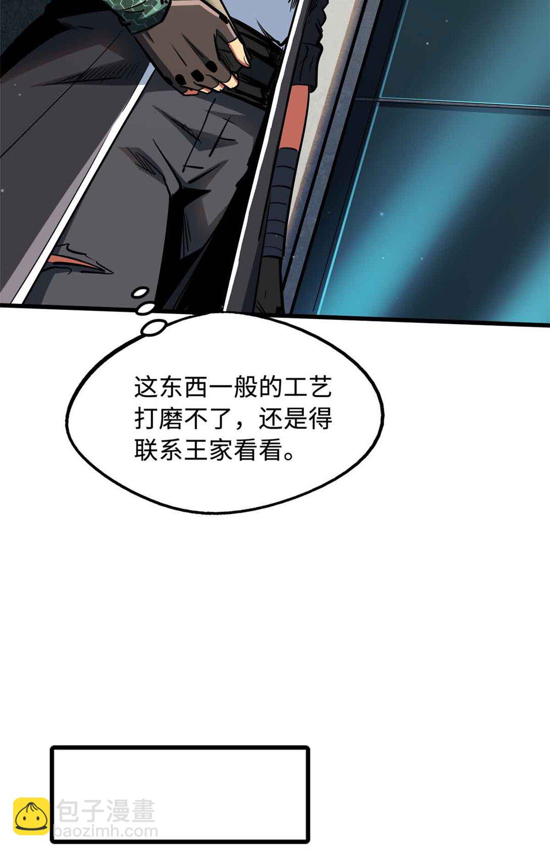 296 银翅仙蝶65