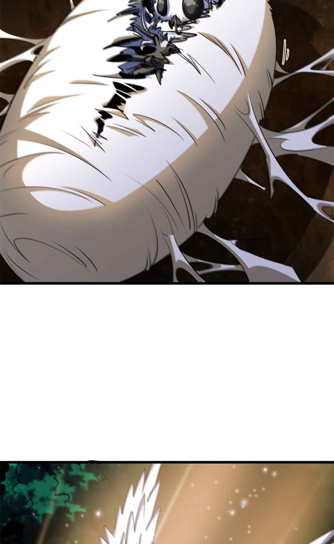 296 银翅仙蝶8