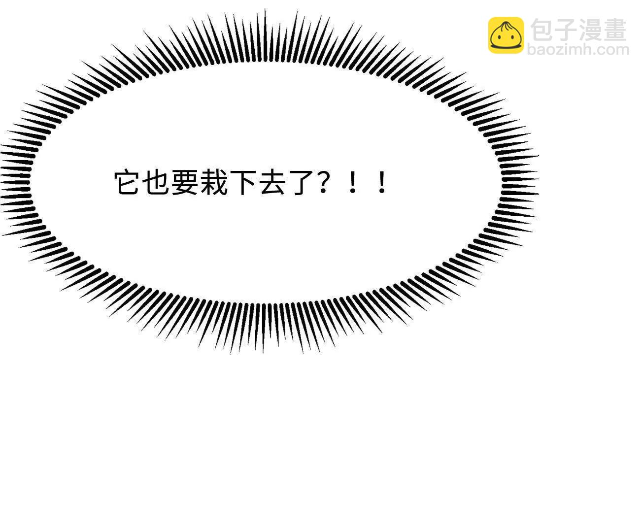 316 成熟的空青果139