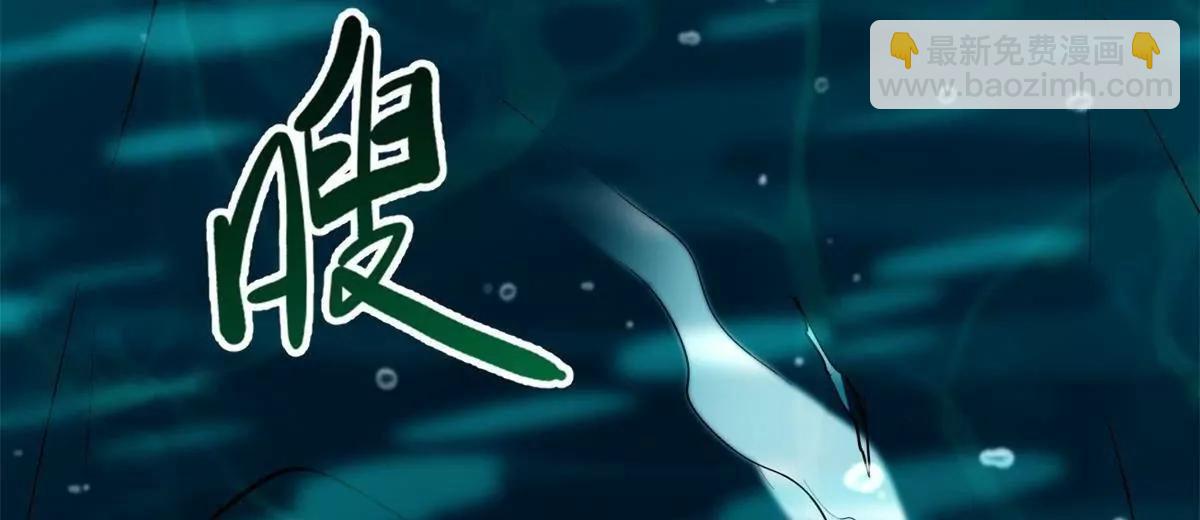 327 透明小鱼119